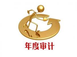 金融審計(jì)翻譯